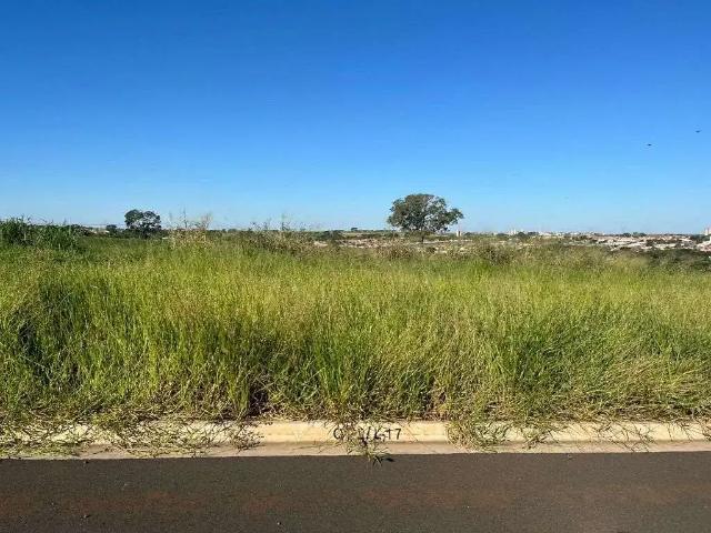 Terreno / Lote para Venda em São José do Rio Preto/SP Vila São Jorge