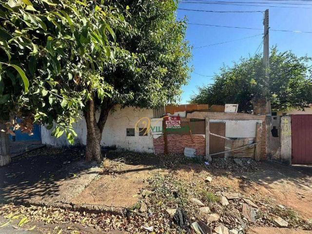 Terreno / Lote para Venda em São José do Rio Preto/SP Vila Toninho