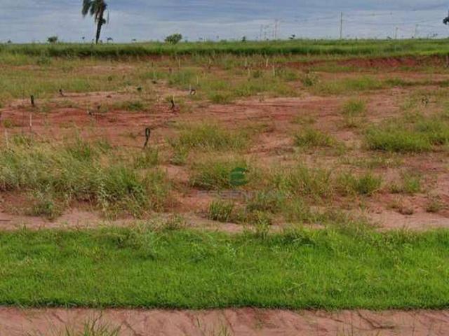 Terreno / Lote para Venda em São José do Rio Preto/SP Centro Engenheiro Schmitt