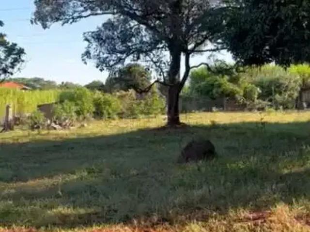 Terreno / Lote para Venda em São José do Rio Preto/SP Estância Jockey Clube