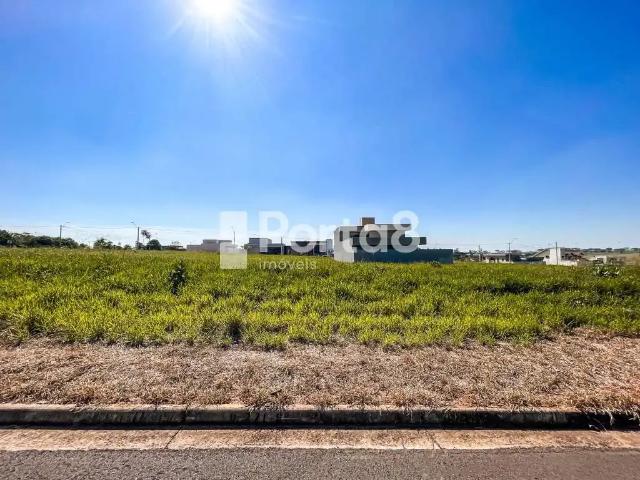 Terreno / Lote para Venda em São José do Rio Preto/SP Iguatemi