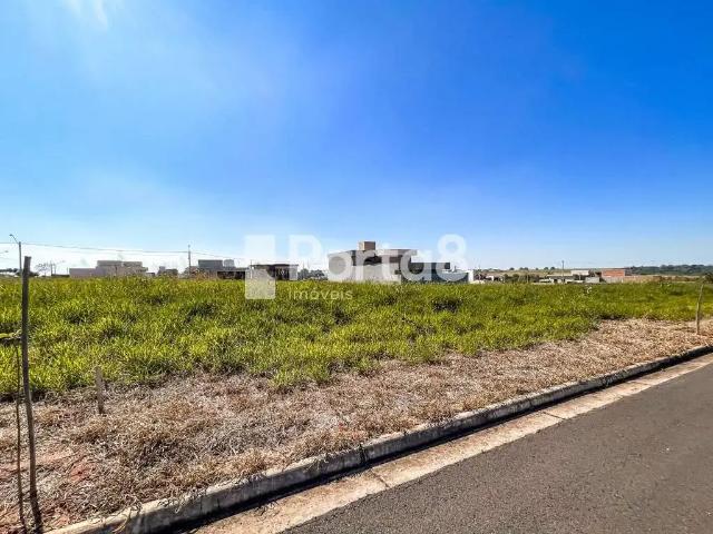 Terreno / Lote para Venda em São José do Rio Preto/SP Iguatemi