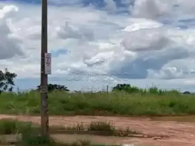 Terreno / Lote para Venda em São José do Rio Preto/SP Jardim Primavera