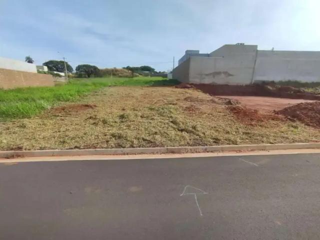 Terreno / Lote para Venda em São José do Rio Preto/SP Maisparque Rio Preto