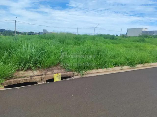 Terreno / Lote para Venda em São José do Rio Preto/SP Maisparque Rio Preto