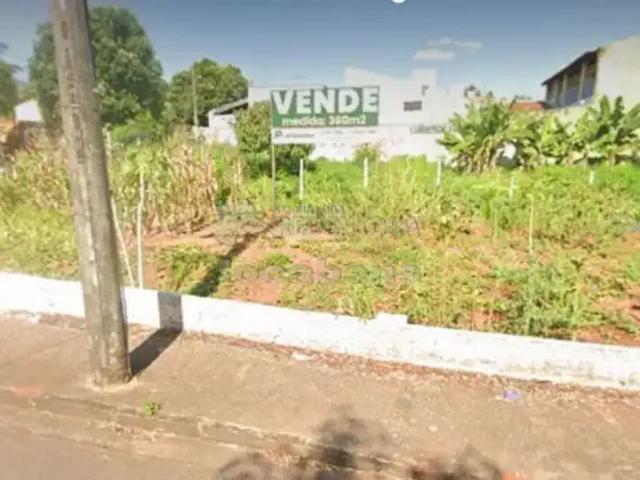 Terreno / Lote para Venda em São José do Rio Preto/SP Parque Jaguaré