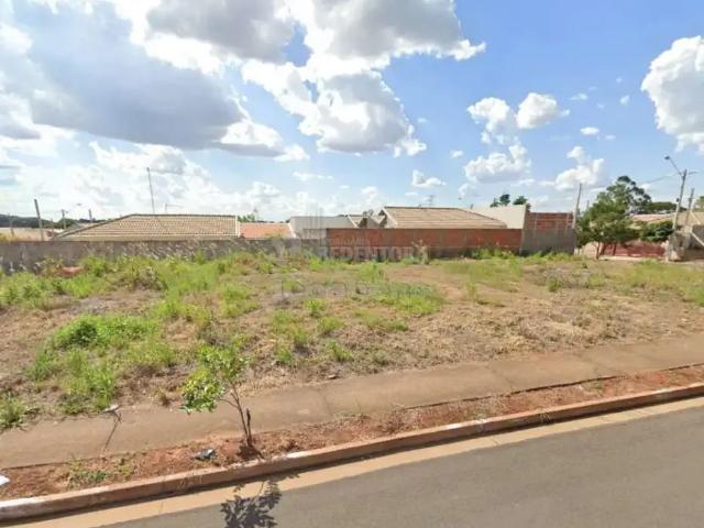 Terreno / Lote para Venda em São José do Rio Preto/SP Parque Residencial da Fraternidade