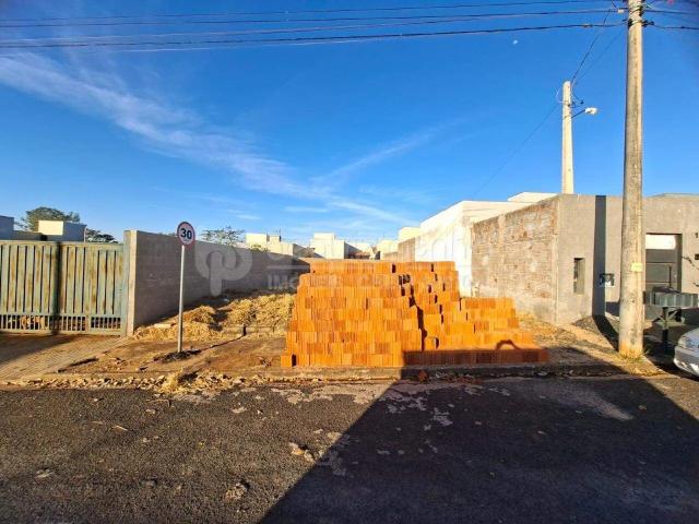 Terreno / Lote para Venda em São José do Rio Preto/SP Parque Vila Nobre