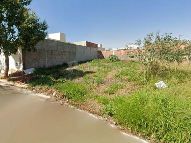 Terreno / Lote para Venda em São José do Rio Preto/SP Residencial Vila Madalena