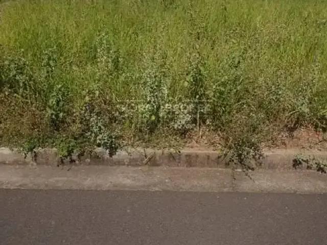 Terreno / Lote para Venda em São José do Rio Preto/SP Residencial Ary Attab III