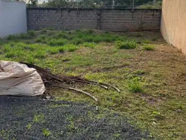 Terreno / Lote para Venda em São José do Rio Preto/SP Residencial Figueira II