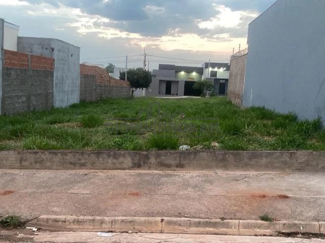 Terreno / Lote para Venda em São José do Rio Preto/SP Residencial Mário de Mattos