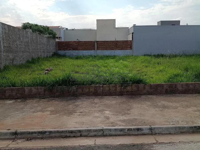 Terreno / Lote para Venda em São José do Rio Preto/SP Residencial Setsul II