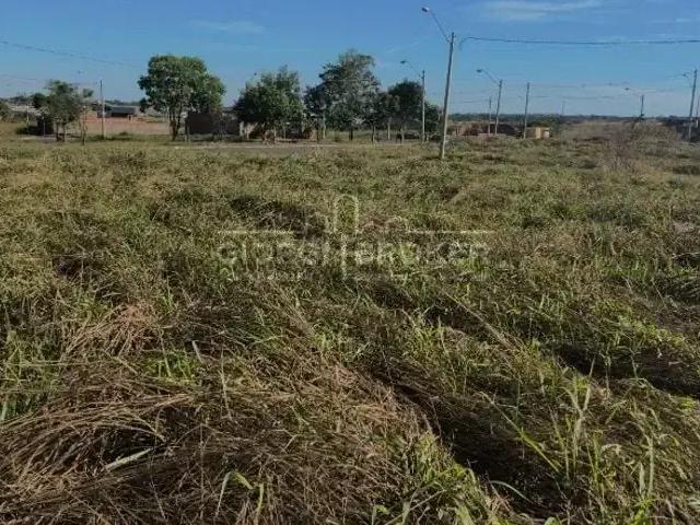 Terreno / Lote para Venda em São José do Rio Preto/SP SetParque Horizonte