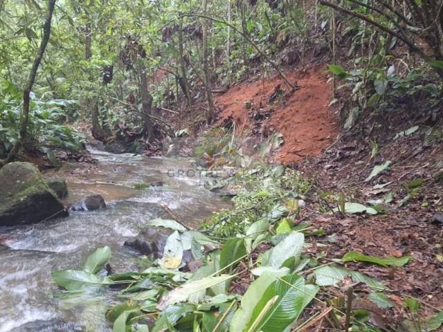 Terreno / Lote para Venda em São José dos Campos/SP Altos da Vila Paiva