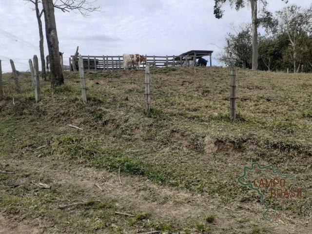 Terreno / Lote para Venda em São José dos Campos/SP Área Rural de São José dos Campos