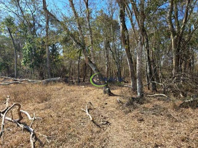 Terreno / Lote para Venda em São José dos Campos/SP Bom Retiro