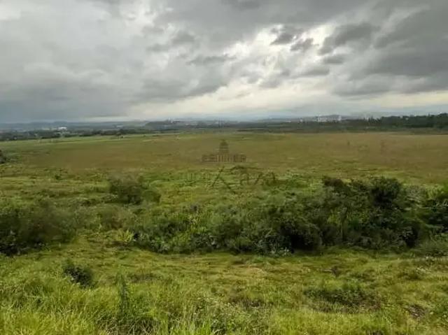 Terreno / Lote para Venda em São José dos Campos/SP Jardim Nova América