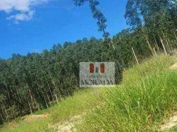 Terreno / Lote para Venda em São José dos Campos/SP Jardim Colonial