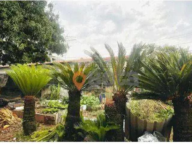 Terreno / Lote para Venda em São José dos Campos/SP Jardim das Indústrias