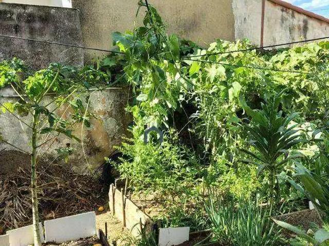 Terreno / Lote para Venda em São José dos Campos/SP Jardim das Indústrias