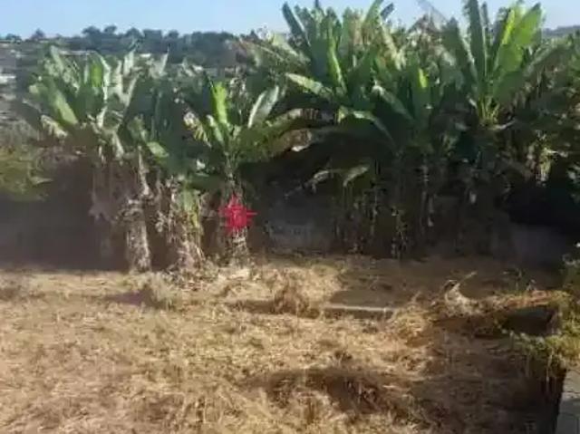 Terreno / Lote para Venda em São José dos Campos/SP Jardim Santa Maria