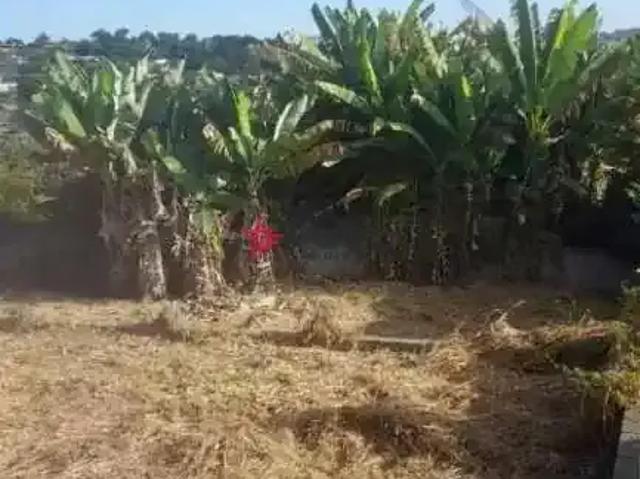 Terreno / Lote para Venda em São José dos Campos/SP Jardim Santa Maria
