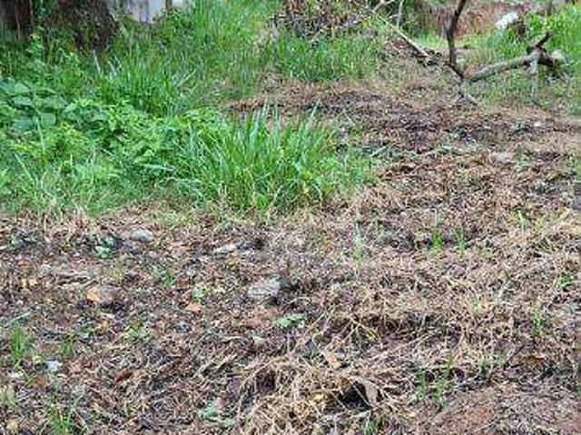 Terreno / Lote para Venda em São José dos Campos/SP Jardim Santa Hermínia