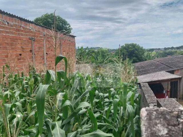 Terreno / Lote para Venda em São José dos Campos/SP Jardim Santa Hermínia