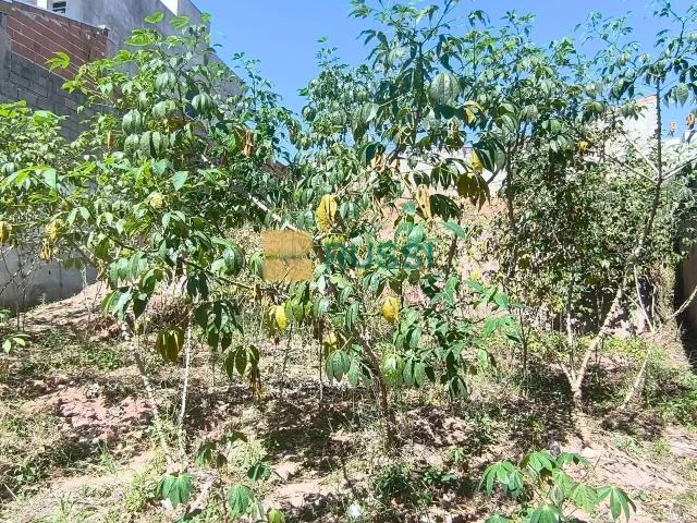 Terreno / Lote para Venda em São José dos Campos/SP Jardim Santa Júlia