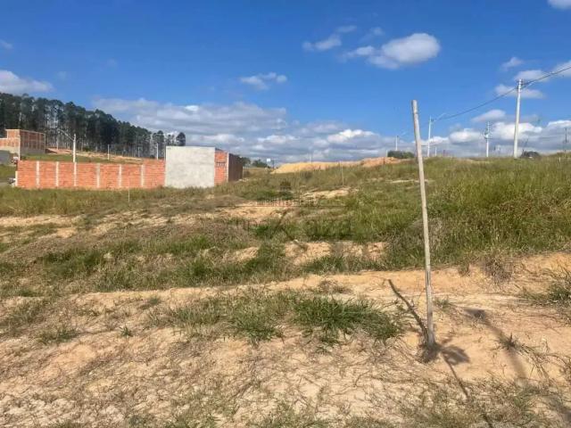 Terreno / Lote para Venda em São José dos Campos/SP Vila Amélia