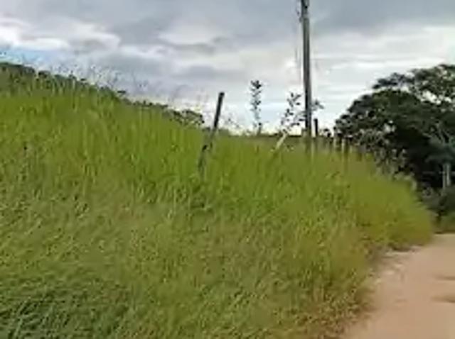 Terreno / Lote para Venda em São José dos Campos/SP Jardim Torrão de Ouro
