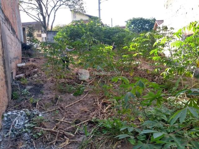 Terreno / Lote para Venda em São José dos Campos/SP Jardim Torrão de Ouro