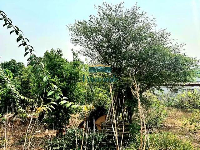 Terreno / Lote para Venda em São José dos Campos/SP Santa Cecilia II