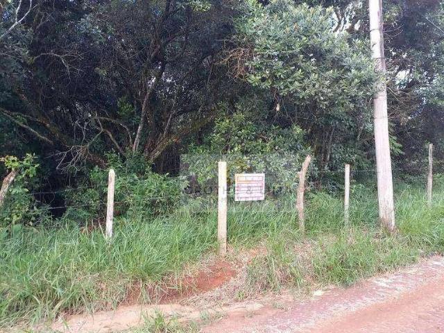 Terreno / Lote para Venda em São José dos Campos/SP Santa Cecilia II