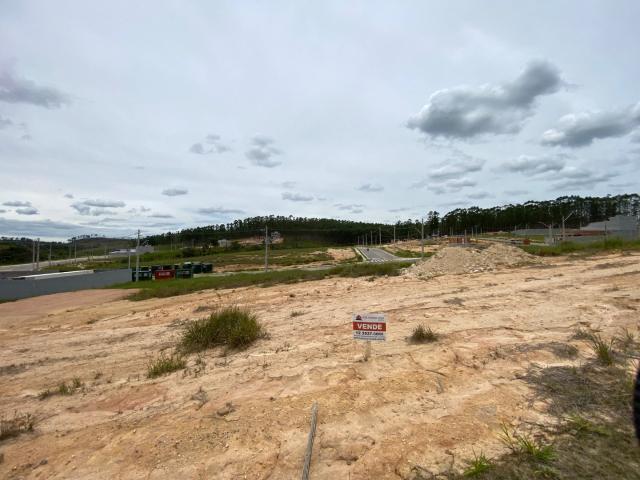 Terreno / Lote para Venda em São José dos Campos/SP Vila das Flores