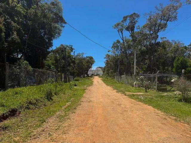 Terreno / Lote para Venda em São José dos Pinhais/PR Miringuava