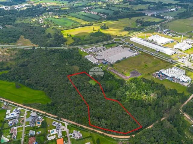 Terreno / Lote para Venda em São José dos Pinhais/PR Miringuava