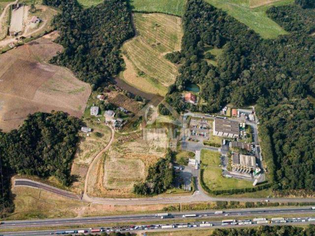 Terreno / Lote para Venda em São José dos Pinhais/PR Miringuava