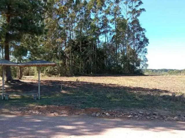 Terreno / Lote para Venda em São José dos Pinhais/PR Miringuava