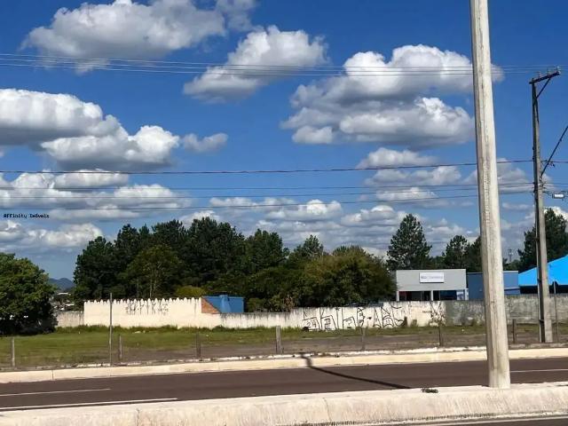 Terreno / Lote para Venda em São José dos Pinhais/PR Ouro Fino