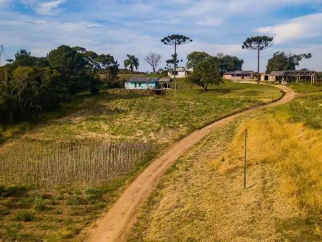 Terreno / Lote para Venda em São José dos Pinhais/PR Ouro Fino