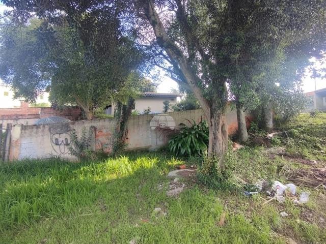 Terreno / Lote para Venda em São José dos Pinhais/PR Ouro Fino 2 Quartos
