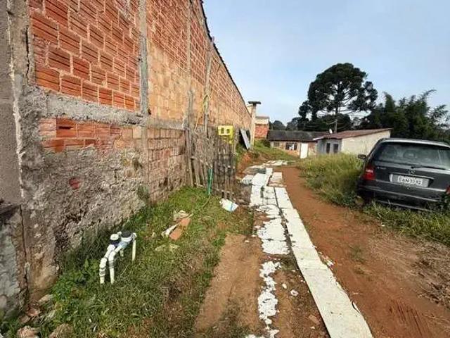 Terreno / Lote para Venda em São José dos Pinhais/PR Academia