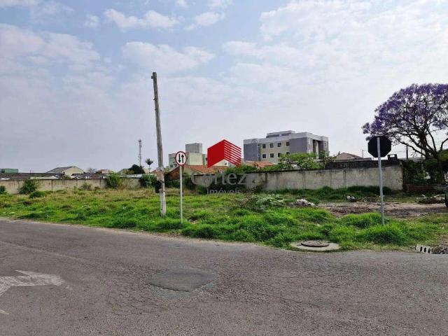 Terreno / Lote para Venda em São José dos Pinhais/PR Afonso Pena