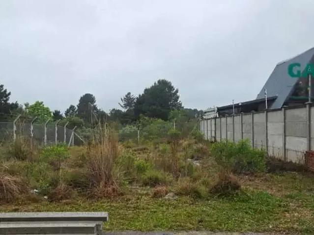 Terreno / Lote para Venda em São José dos Pinhais/PR Afonso Pena