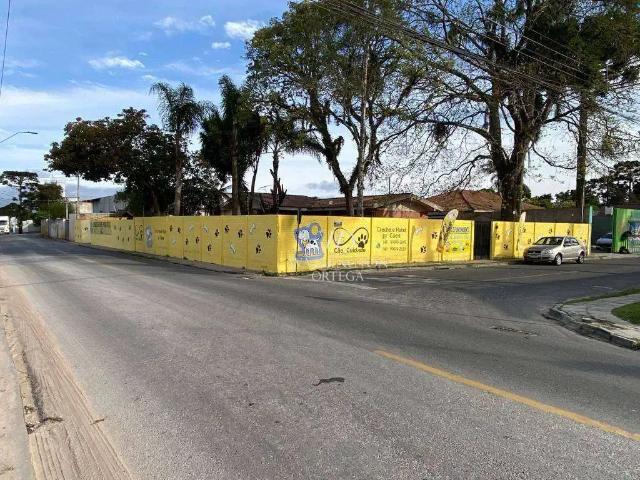 Terreno / Lote para Venda em São José dos Pinhais/PR Afonso Pena