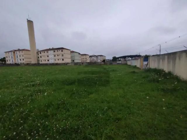 Terreno / Lote para Venda em São José dos Pinhais/PR Afonso Pena