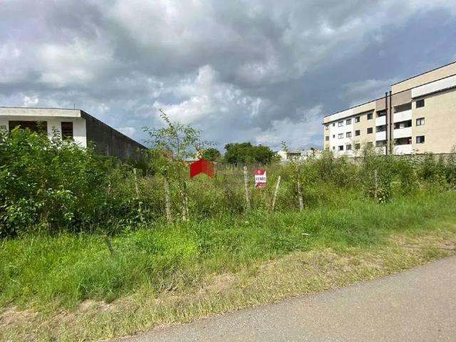 Terreno / Lote para Venda em São José dos Pinhais/PR Afonso Pena