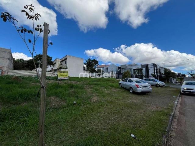 Terreno / Lote para Venda em São José dos Pinhais/PR Afonso Pena